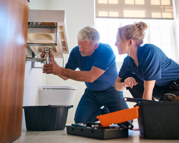 Best Plumbing Inspection Services  in French Valley, CA